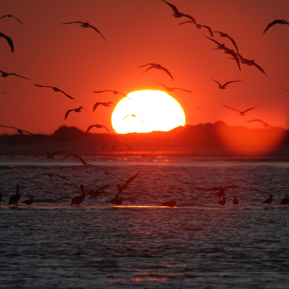 Sunset over Bear Island in Bogue Inlet on North Carolina's Crystal Coast Sunset over Bear Island in Bogue Inlet on North Carolina's Crystal Coast