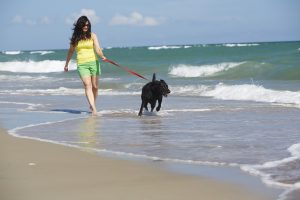 EI-D4_1-0304 EI-D4_1-0304