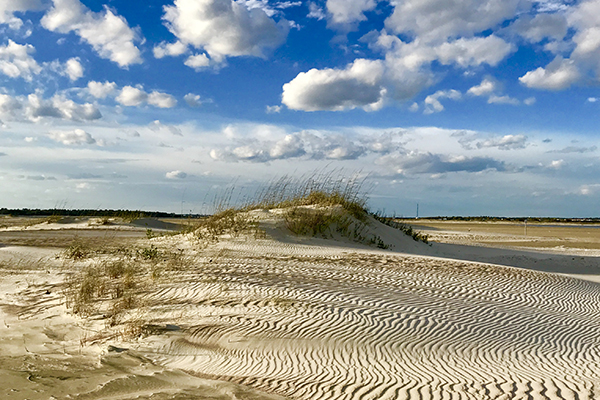 Hidden Gems on NC's Crystal Coast Hidden Gems on NC's Crystal Coast