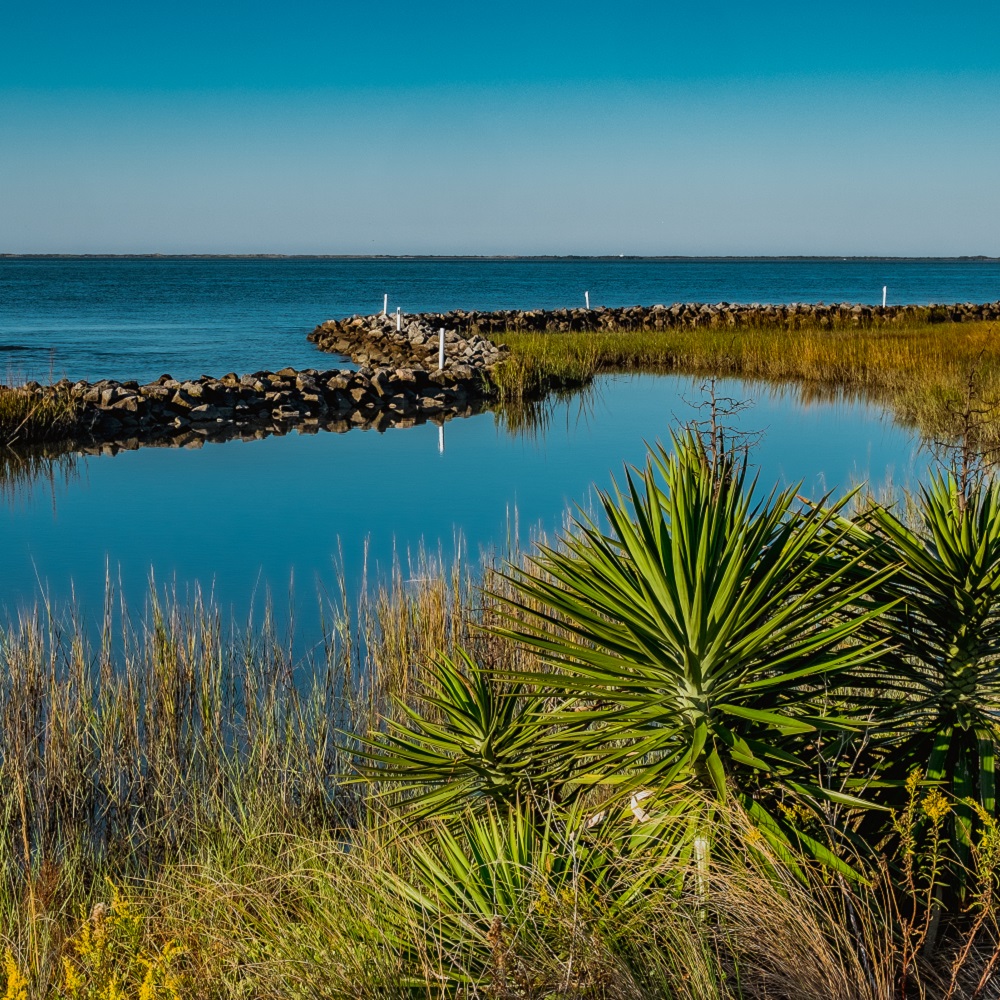 Lagoon in Harkers Island, NC Lagoon in Harkers Island, NC