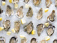 oysters-200x150 Dining in Emerald Isle