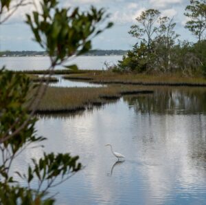 View of Bogue Sound View of Bogue Sound