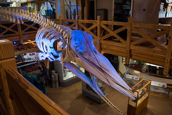 Historical sites and landmarks throughout the Southern Outer Banks Historical sites and landmarks throughout the Southern Outer Banks