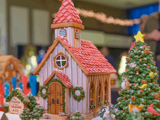 Top 10 Things to Do for the Holidays